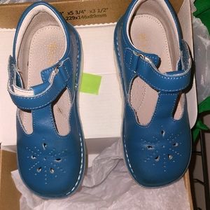 Cerulean Blue Mary Jane's